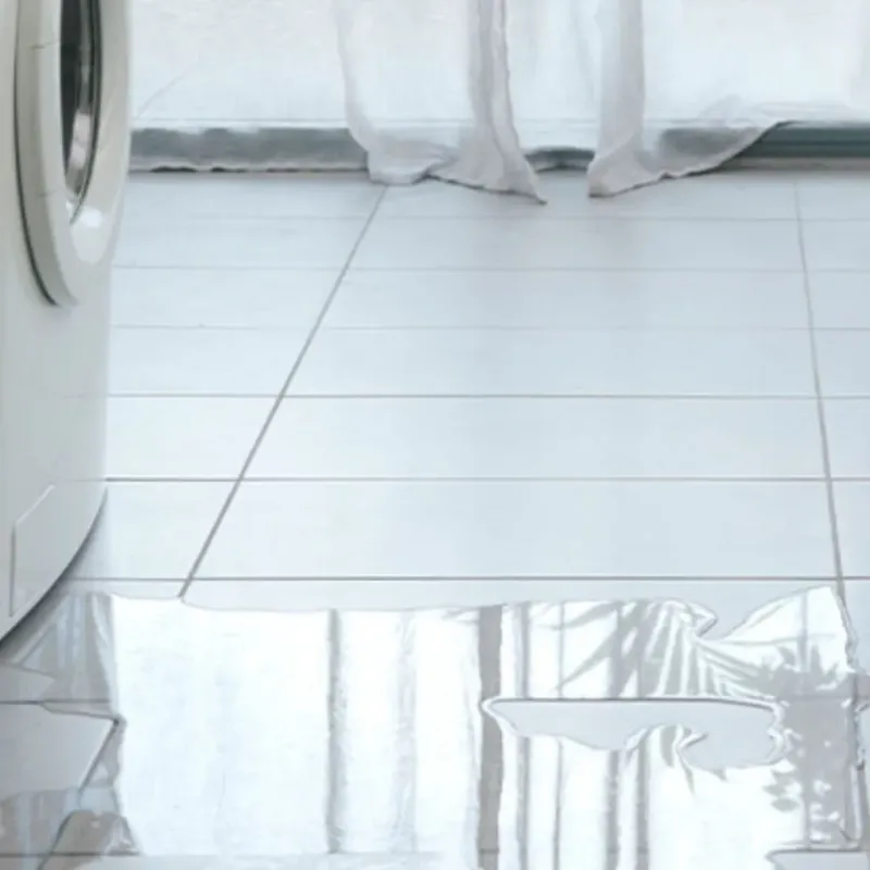 Appliance Leak Cleanup in Charleston, IL