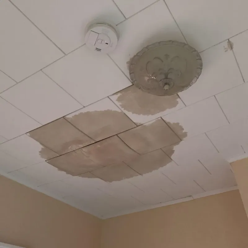 Ceiling Water Damage Repair in Charleston, IL