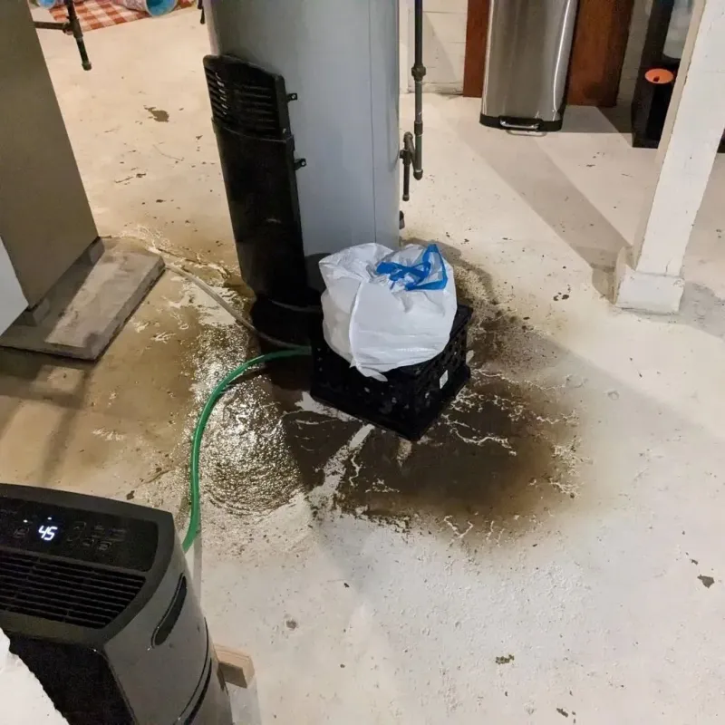 Sewage Backup Cleanup Service in Charleston, IL